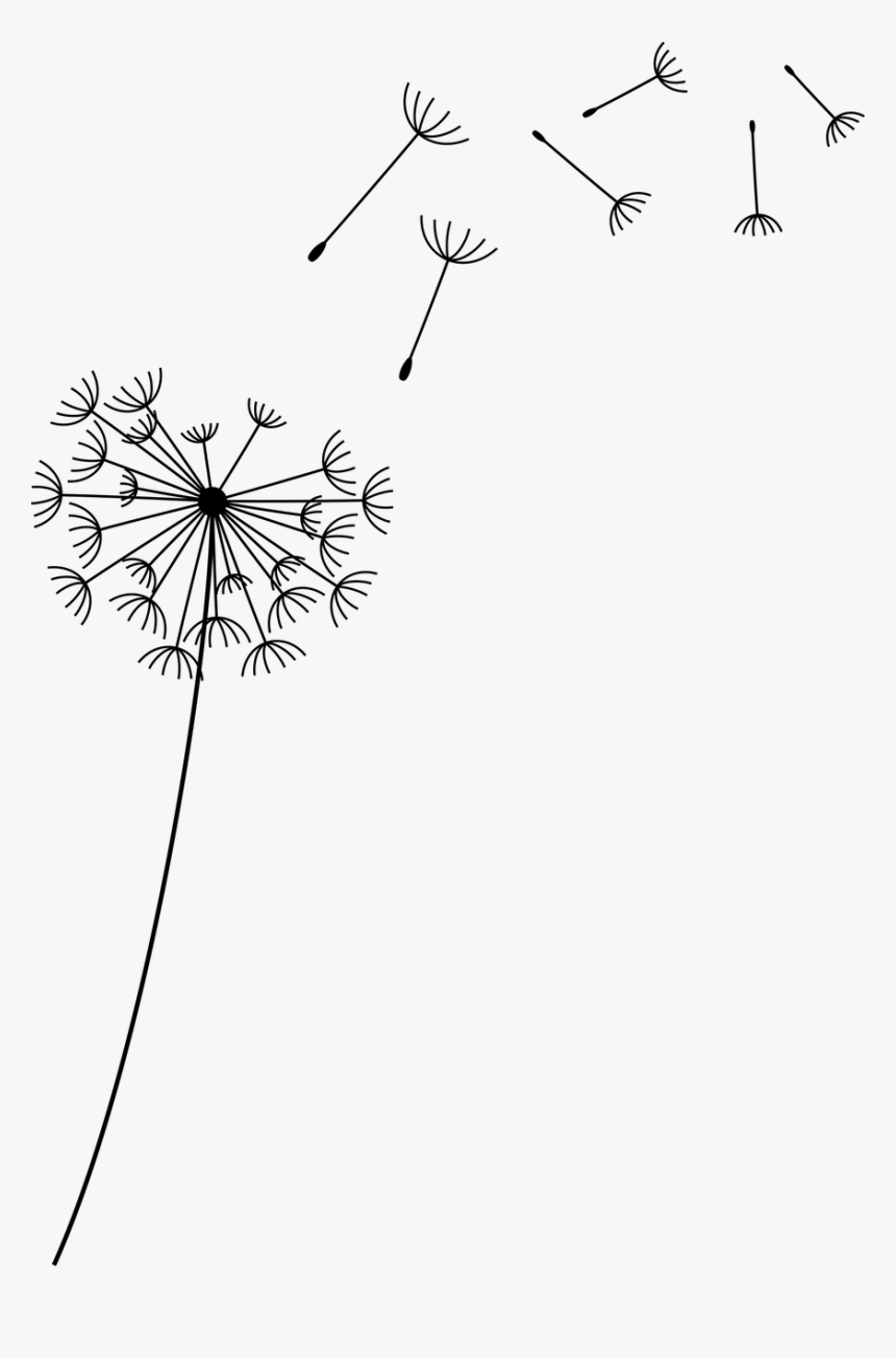 Transparent Background Dandelion Png, Png Download, Free Download