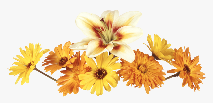 Flores En Oleo Png, Transparent Png, Free Download