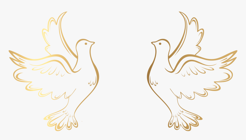 Dove Png Free No Background - Gold Dove Transparent Background, Png Download, Free Download