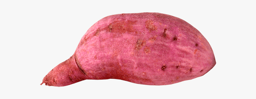 Pesa Uma Batata Doce, HD Png Download, Free Download