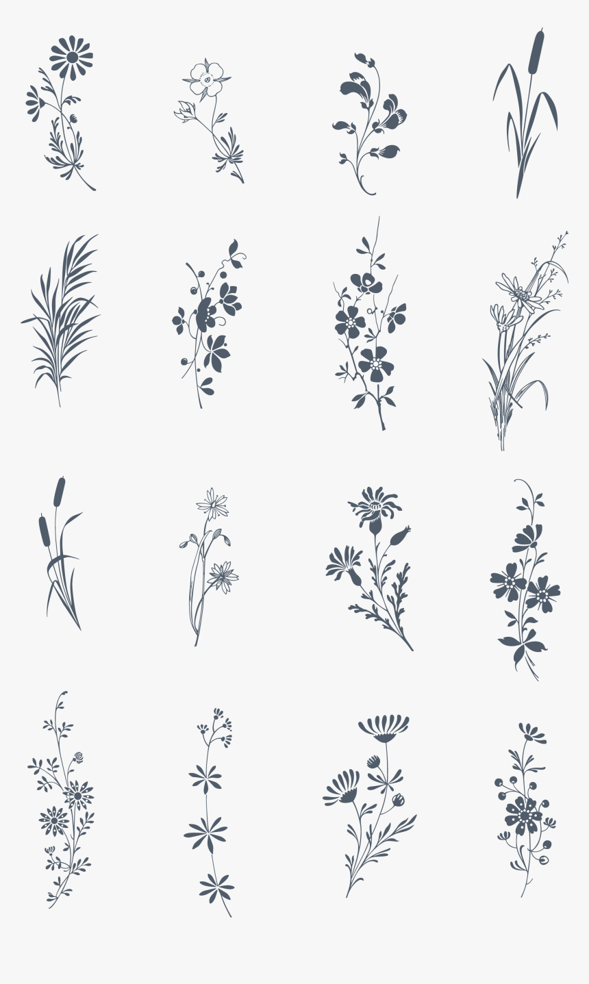 A Somptuous Selection Of Floral And Romatic Ornaments, - Motif, HD Png Download, Free Download