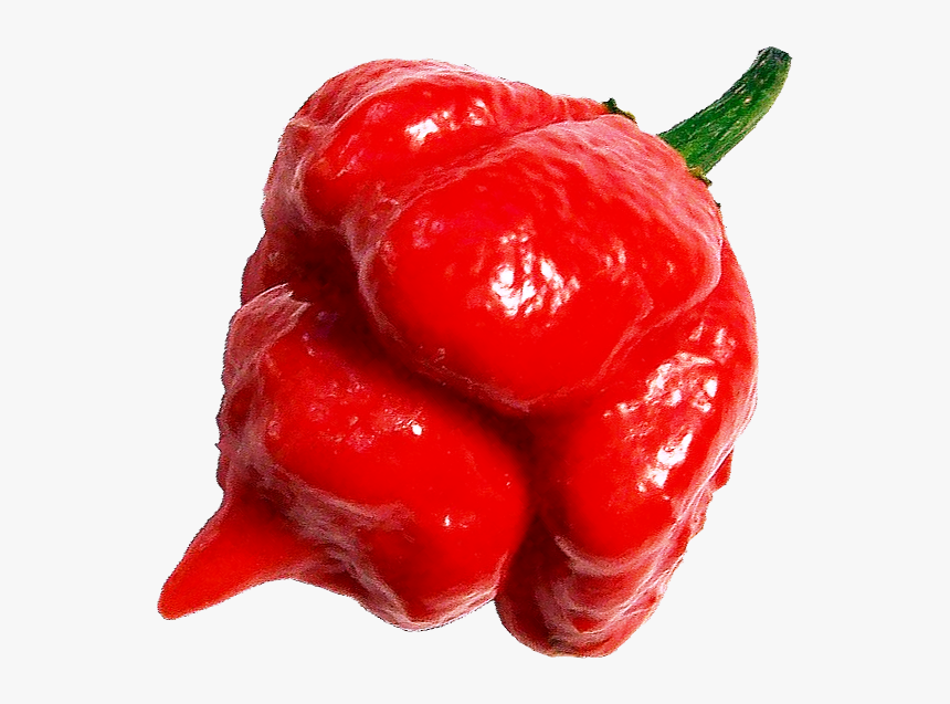 Baby ghost pepper
