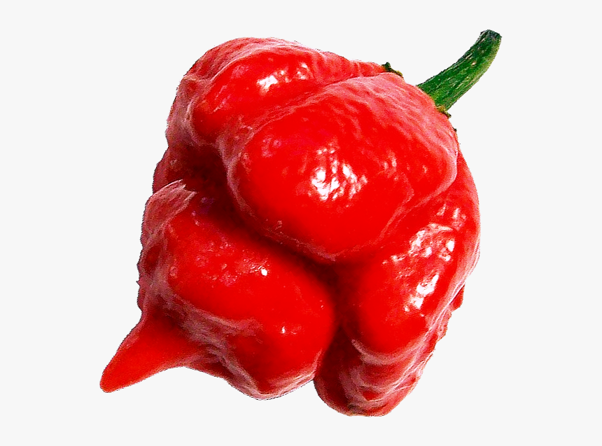 Ghost Pepper Trinidad Scorpion, HD Png Download, Free Download