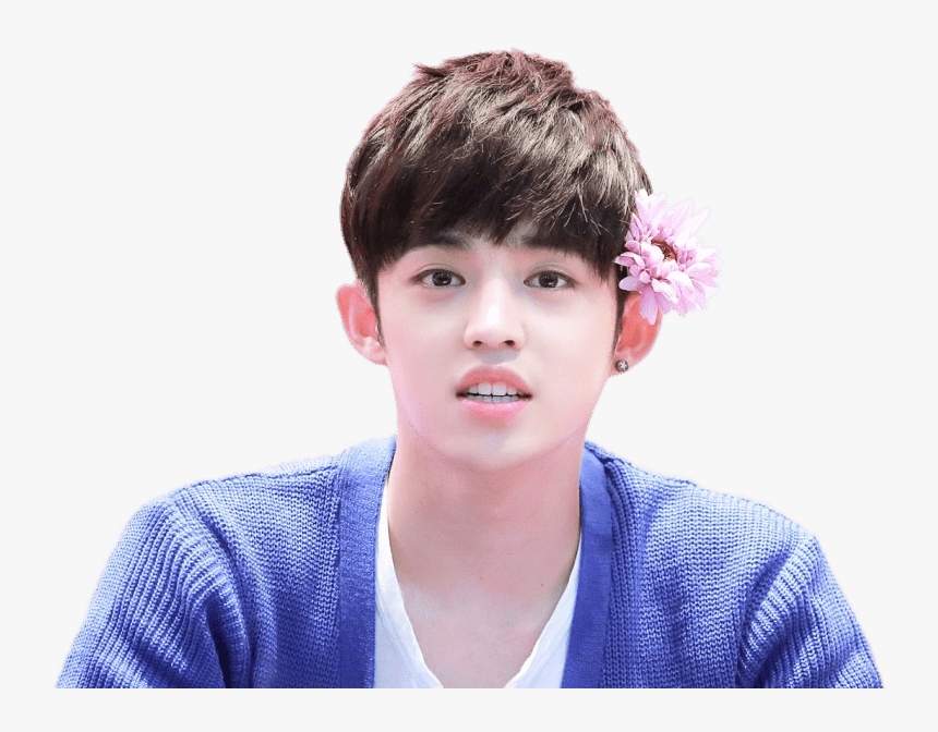 Coups Flower In Hair - S Coups Seventeen Png, Transparent Png, Free Download