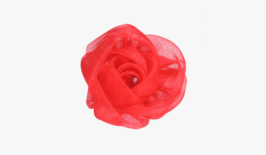 Garden Roses, HD Png Download, Free Download