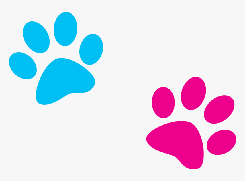 #paws #paw #blue #pink #print #dog #cat - Dog Paw Print, HD Png Download, Free Download