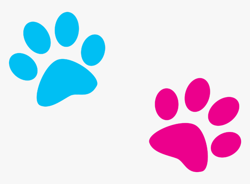 Knurre genopfyldning eksekverbar paws #paw #blue #pink #print #dog #cat - Dog Paw Print, HD Png Download -  kindpng