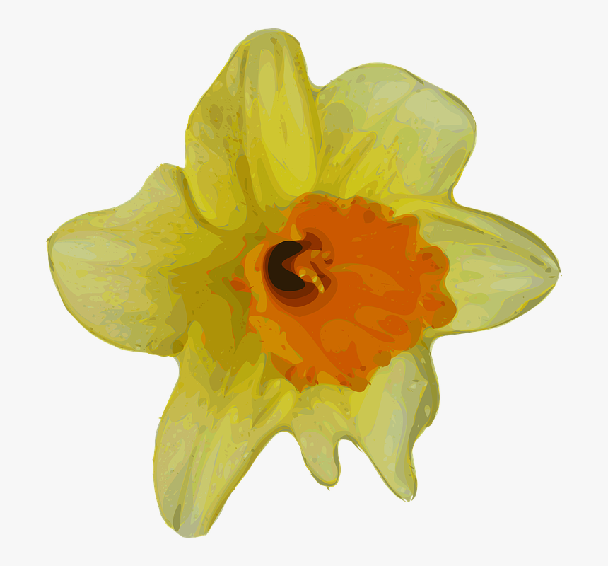 Daffodil Flower Png Image - Small Transparent Flower Yellow, Png Download, Free Download