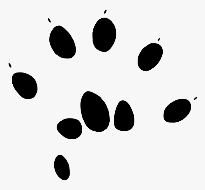 Paw Prints Clipart - Circle, HD Png Download, Free Download