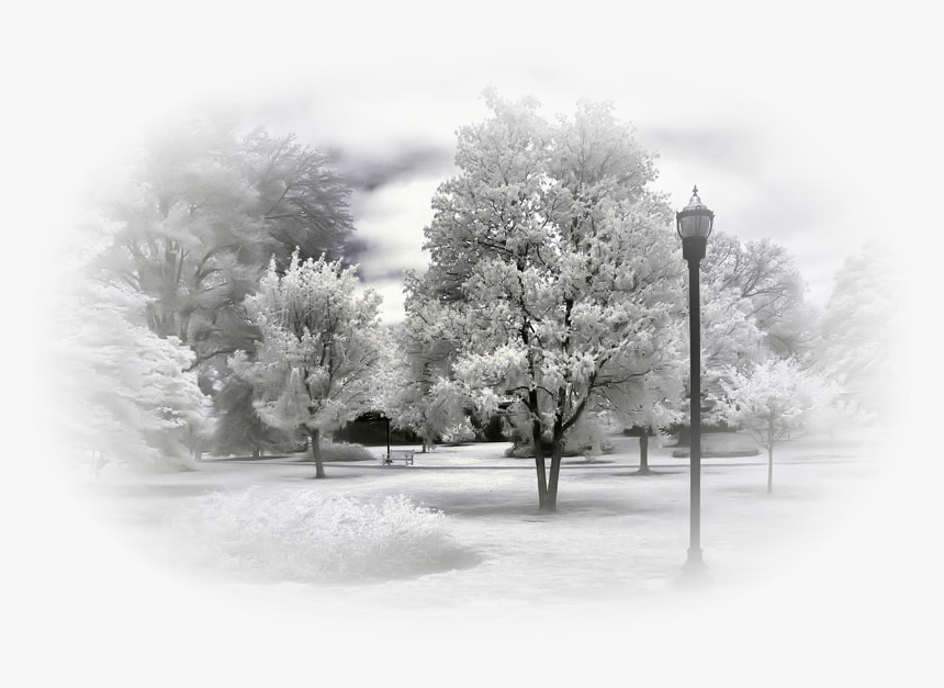 Winter Landscape Blizzard Snow Nature - Paysages D Hiver Png, Transparent Png, Free Download