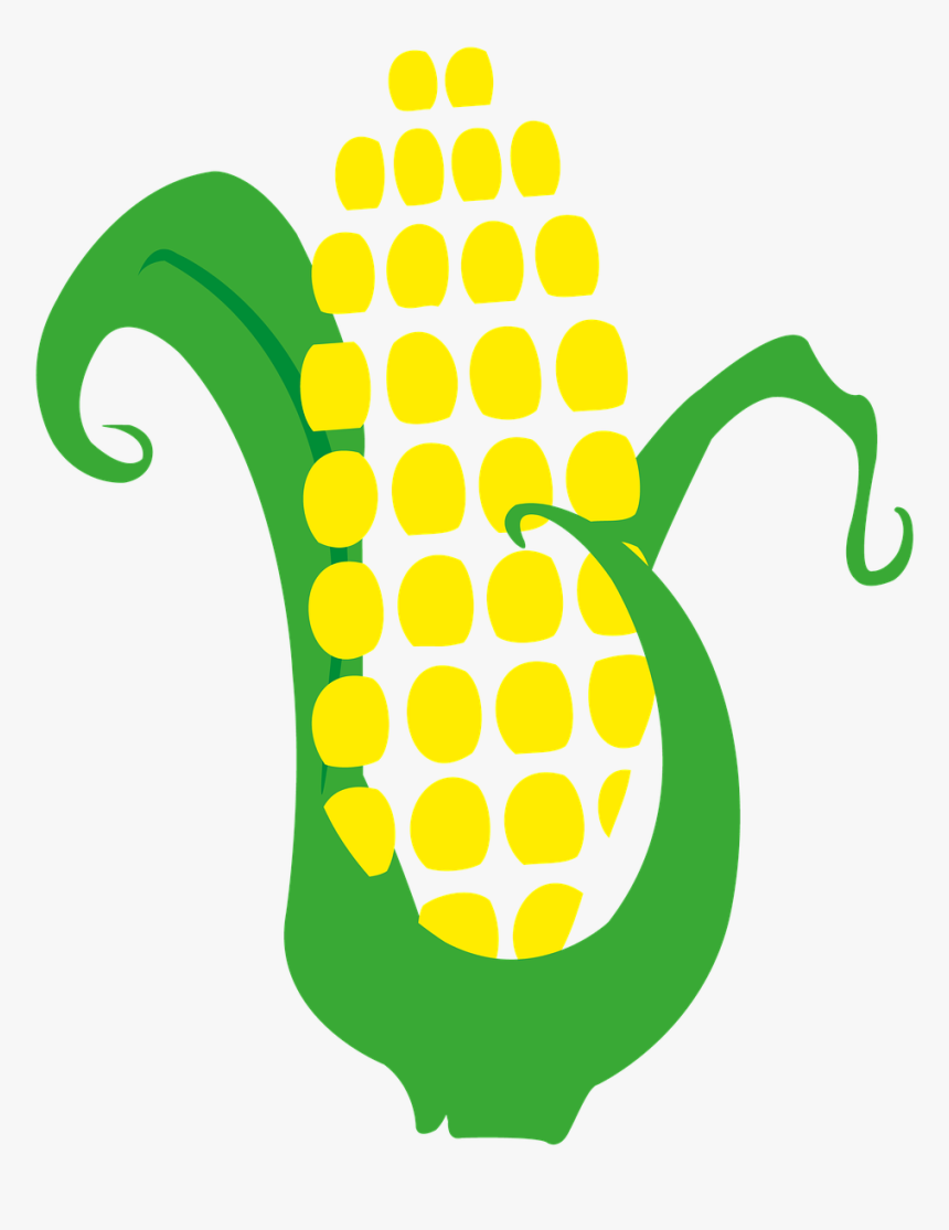 Corn Cob Harvest - Maiz Png, Transparent Png, Free Download