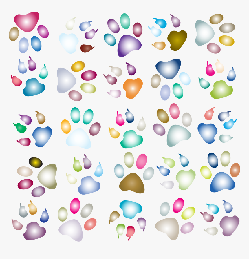 Colorful Paw Prints Background, HD Png Download, Free Download