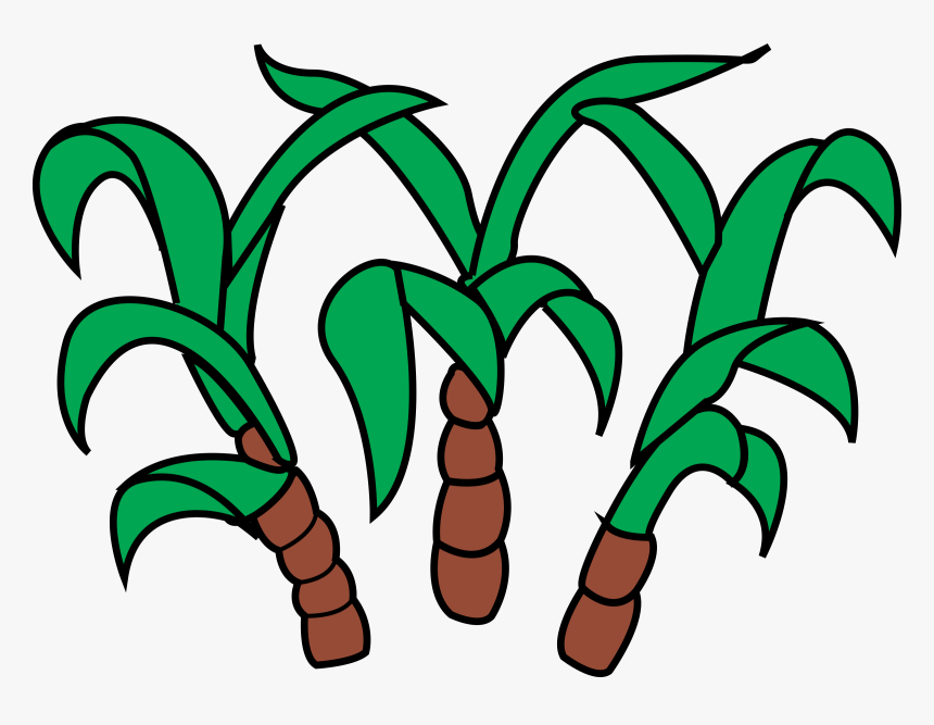 Sugar Cane Drawing At - Sugar Cane Images Clip Art, HD Png Download, Free Download