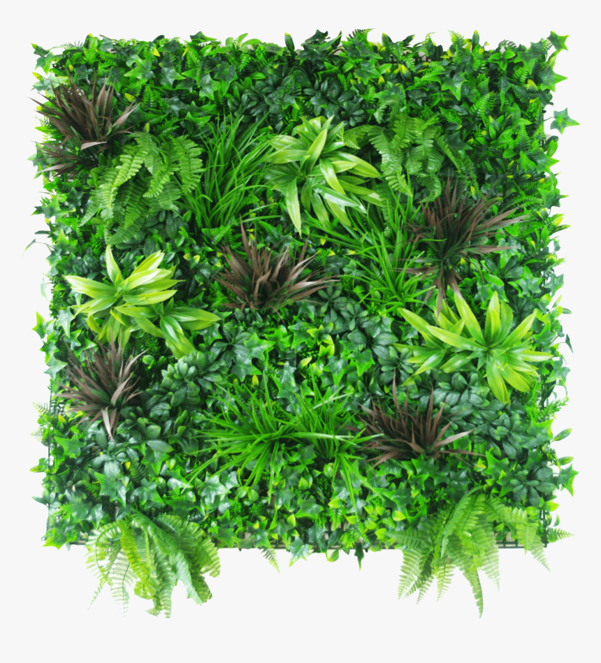 Coastal Greenery Vertical Garden - Green Wall Png, Transparent Png, Free Download