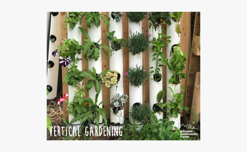 Vertical - Vertical Garden Png, Transparent Png, Free Download