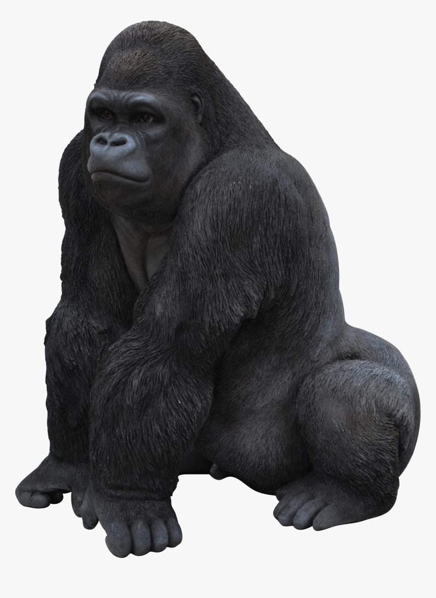 Best Free Gorilla Png Image Without Background - Gorilla Png, Transparent Png, Free Download