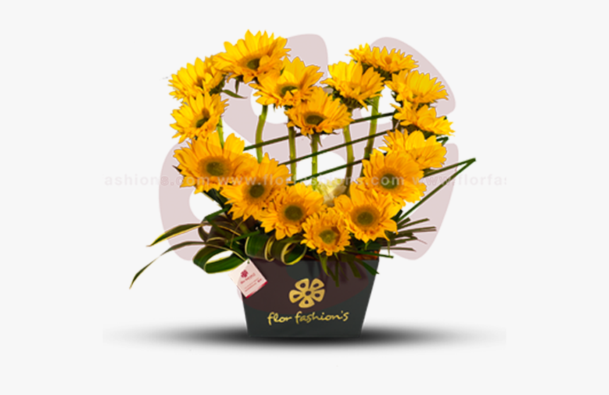 Arreglos Florales, Flores A Domicilio Quito, Florerias - Arreglos Florales En Quito, HD Png Download, Free Download