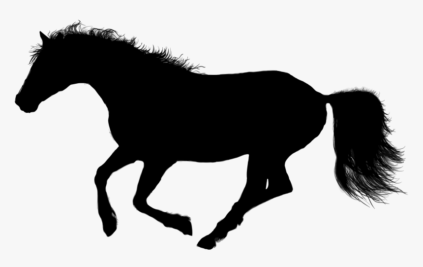 Animal, Equine, Galloping, Horse, Silhouette, Ride - Dog Clipart Black, HD Png Download, Free Download