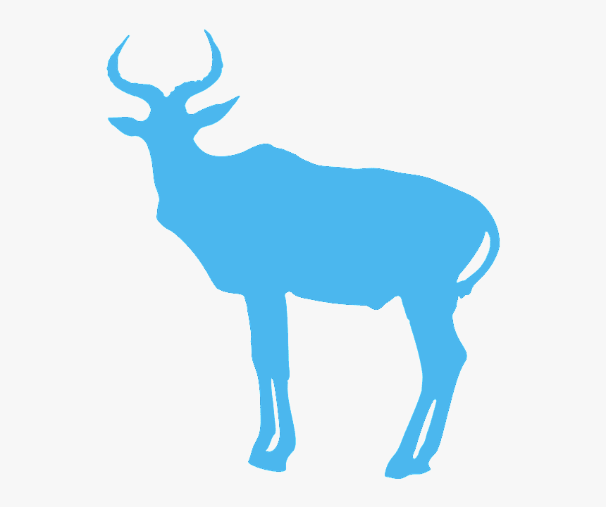 Antelope, HD Png Download, Free Download