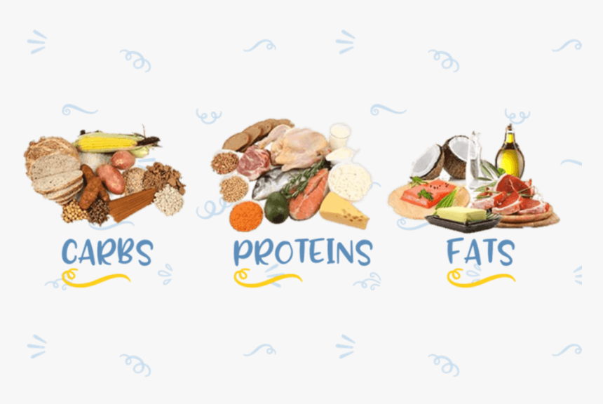 What Are Macronutrients And - Three Macronutrients, HD Png Download, Free Download