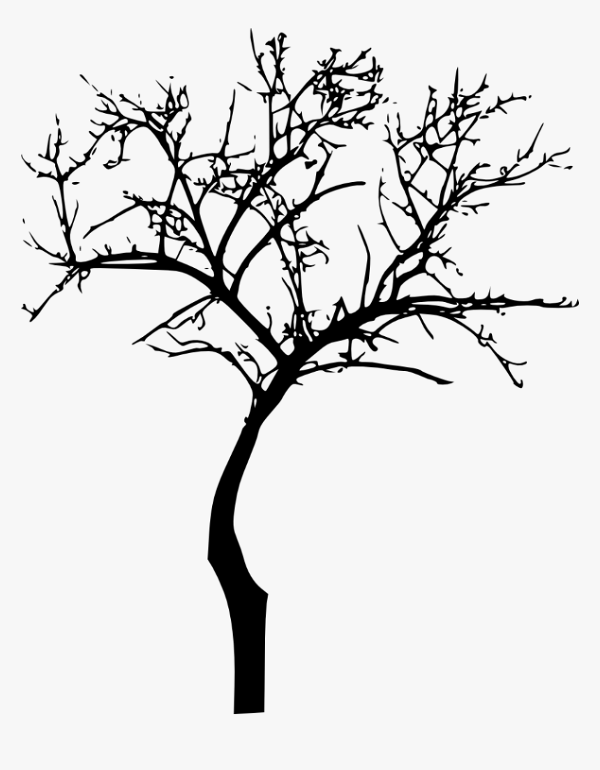 Plant Silhouette 1png - Transparent Background Bare Tree Png, Png Download, Free Download