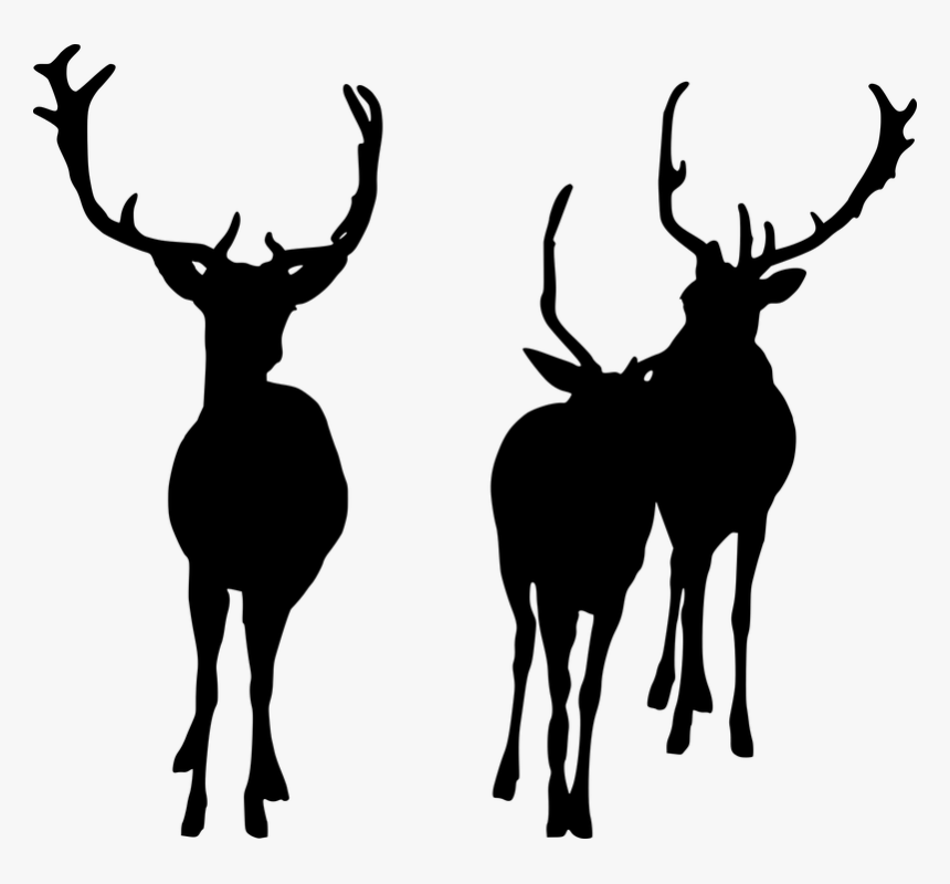 Deer, Herd, Wildlife, Silhouette, Mammal, Animal, Group - Deer Group Silhouette, HD Png Download, Free Download