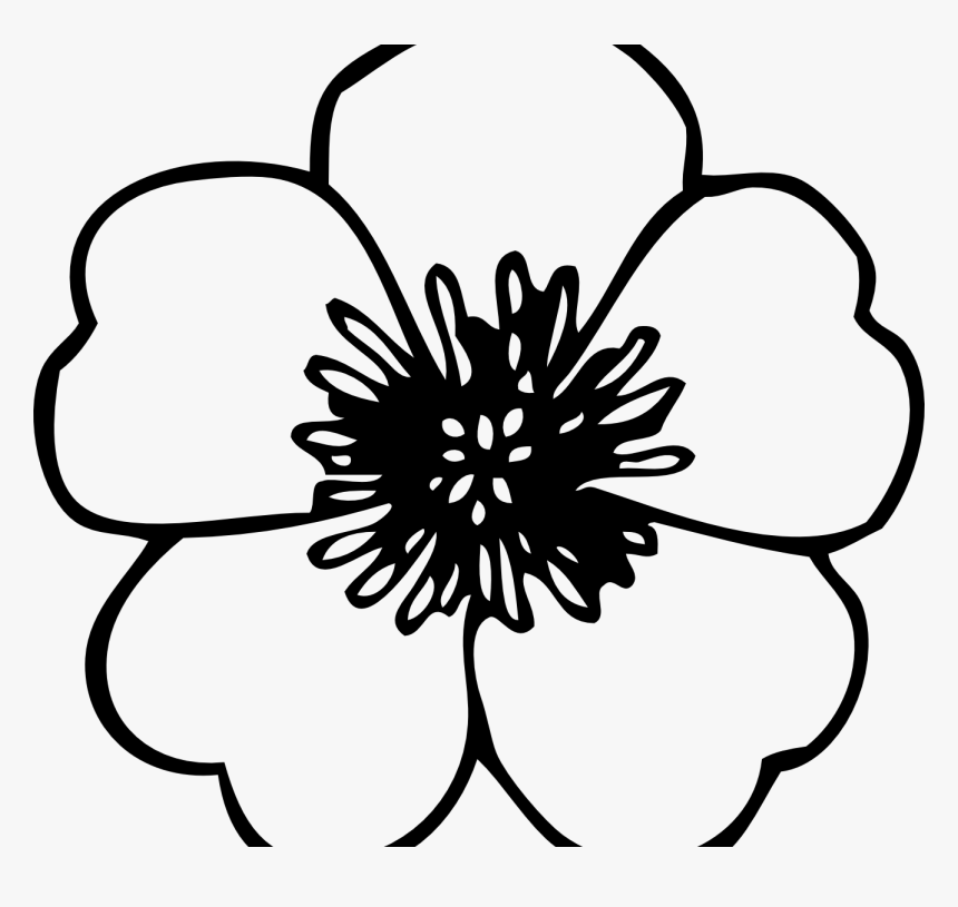 Coloring Page Poppy Flowers Veterans Day Pretty Flower - Black And White Poppy Flower, HD Png Download, Free Download