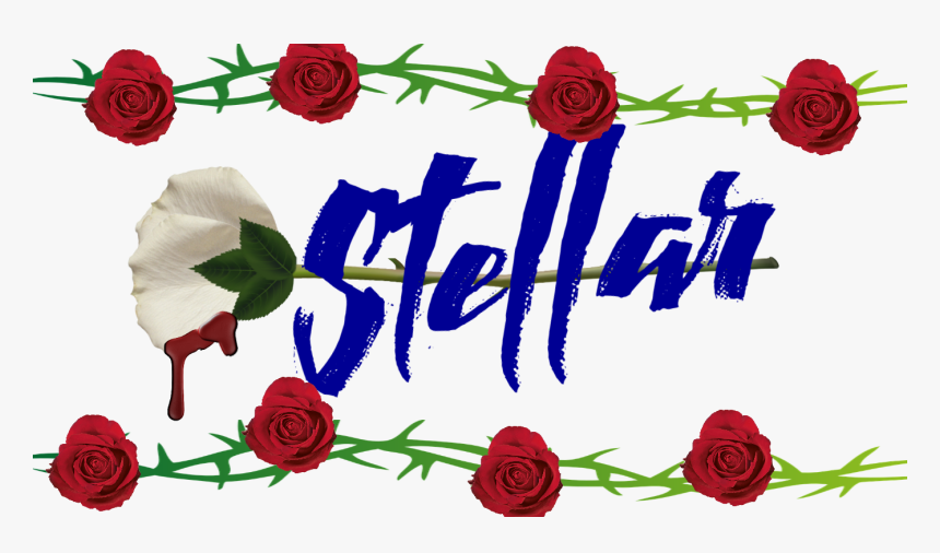Red Rose Top View , Png Download - Red Rose Top View, Transparent Png, Free Download