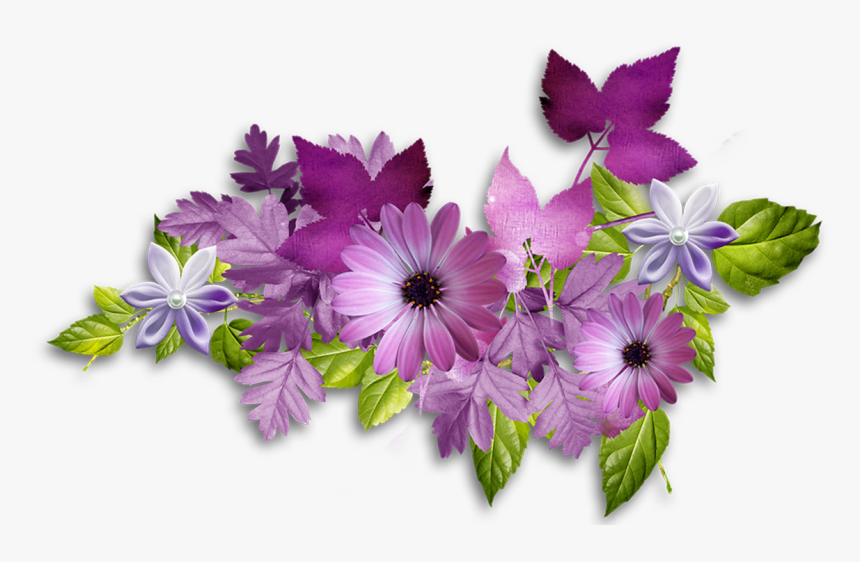 Beautiful Flowers As A Wallpaper In Hd Resolution - Поздравляю С Днем Социального Работника, HD Png Download, Free Download