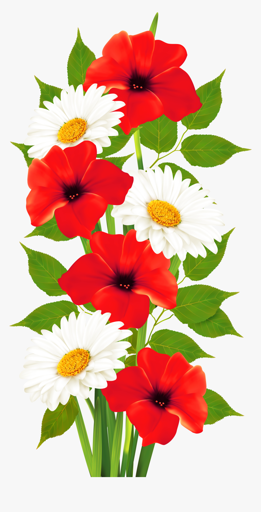 Transparent Background Summer Flowers Clipart, HD Png Download, Free Download