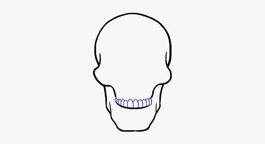 How To Draw A Skull Step - Skull To Draw Png, Transparent Png, Free Download