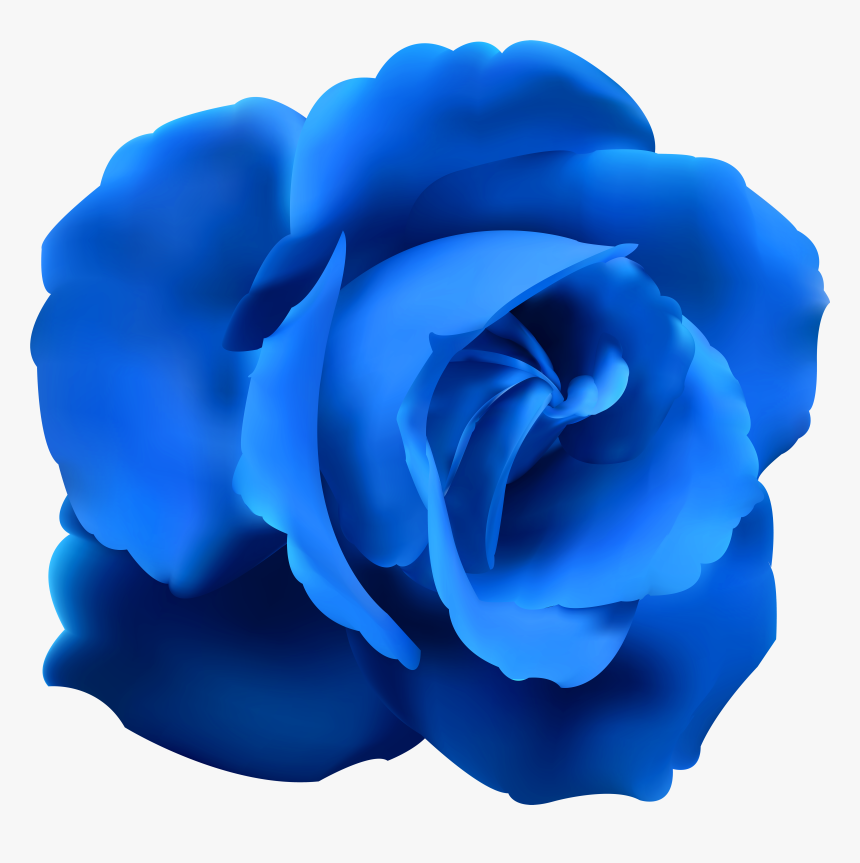 Rose Clip Art Image - Blue Rose Png, Transparent Png, Free Download