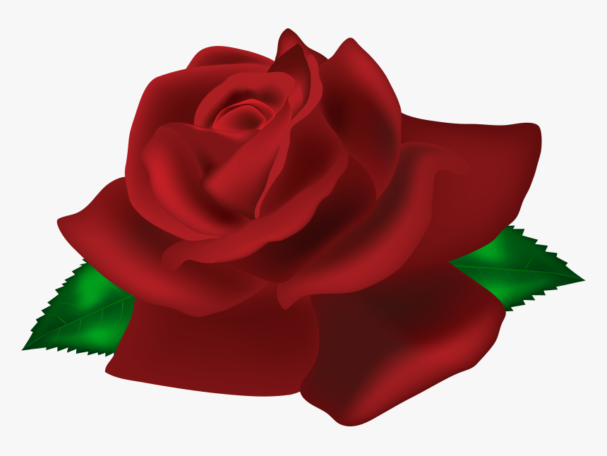 Rose Dark Red Png Clip Art Image Transparent Png , - Portable Network Graphics, Png Download, Free Download