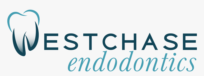 Link To Westchase Endodontics Home Page - Graphics, HD Png Download, Free Download