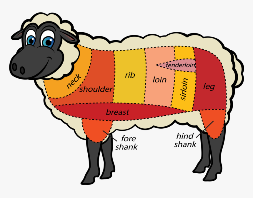 Cuts Meat Sheep Tips - Lamb Parts Of Meat, HD Png Download, Free Download