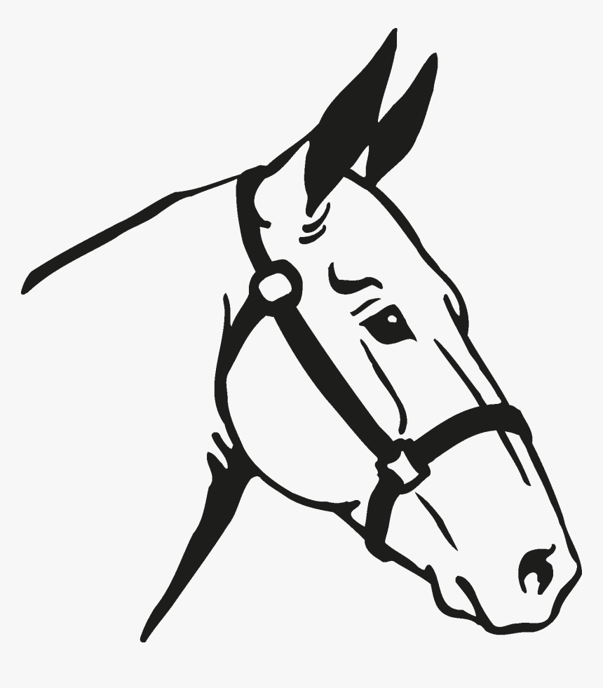 Transparent Horse Head Silhouette Png - Horse Vector, Png Download, Free Download