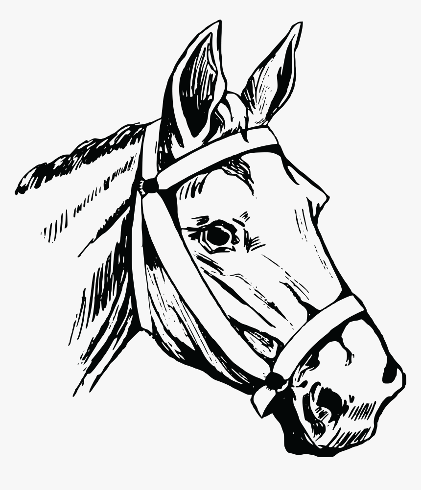 Horse Head Mask American Quarter Horse Clip Art - Horse Head Drawing Png, Transparent Png, Free Download