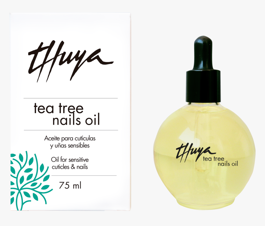 Thuya Tea Tree Oil, HD Png Download, Free Download