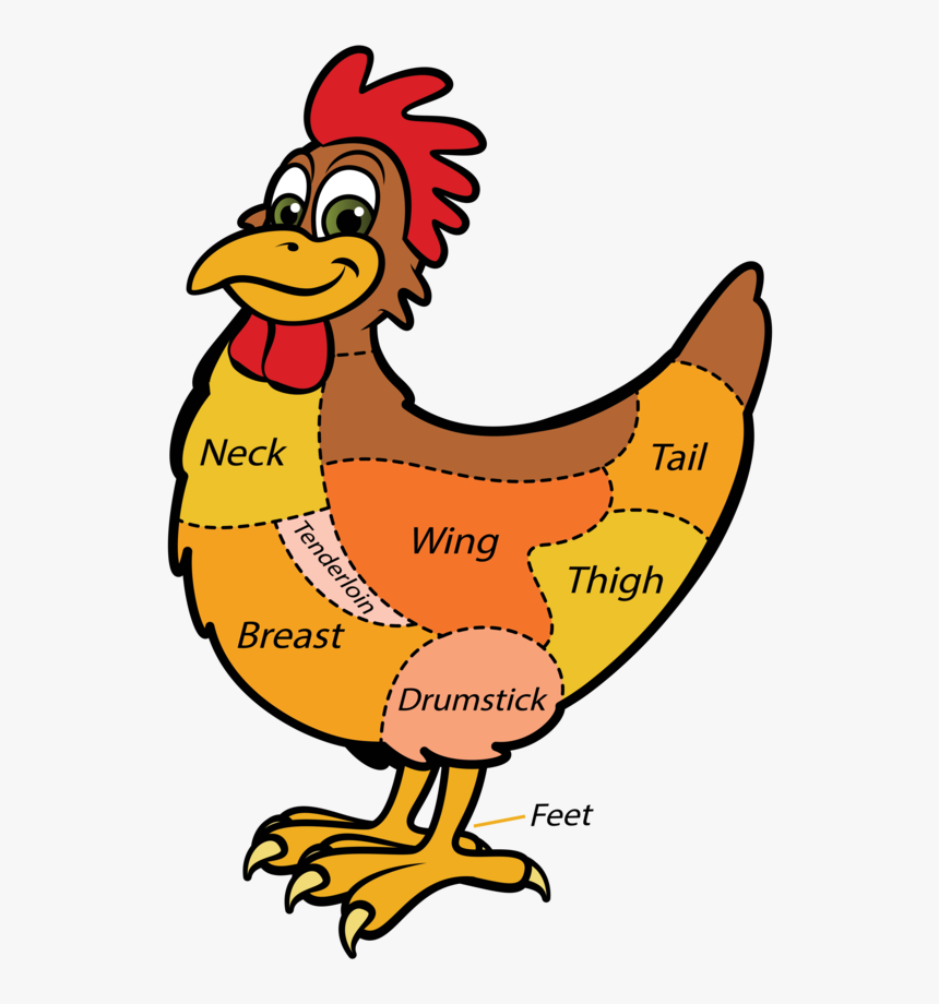 Transparent Getting Dressed Clipart - Different Kind Of Chicken Meat Cuts, HD Png Download, Free Download