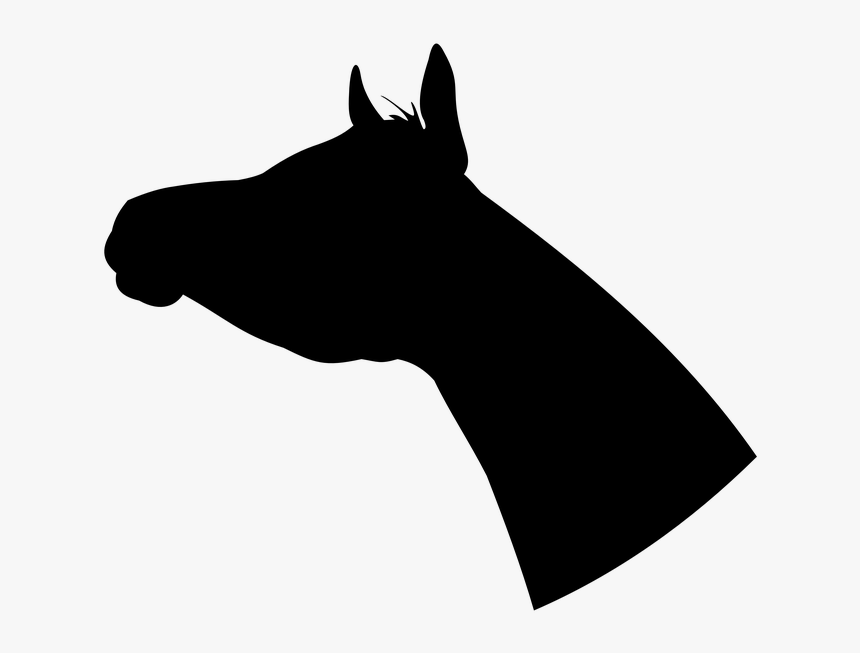 Arabian, Head, Arab, Horse, Silhouette, Shadow - Horse Ears Silhouette, HD Png Download, Free Download