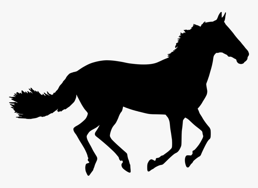 Horse Animal Silhouette Free Picture - Silhouette Horse Clipart, HD Png Download, Free Download