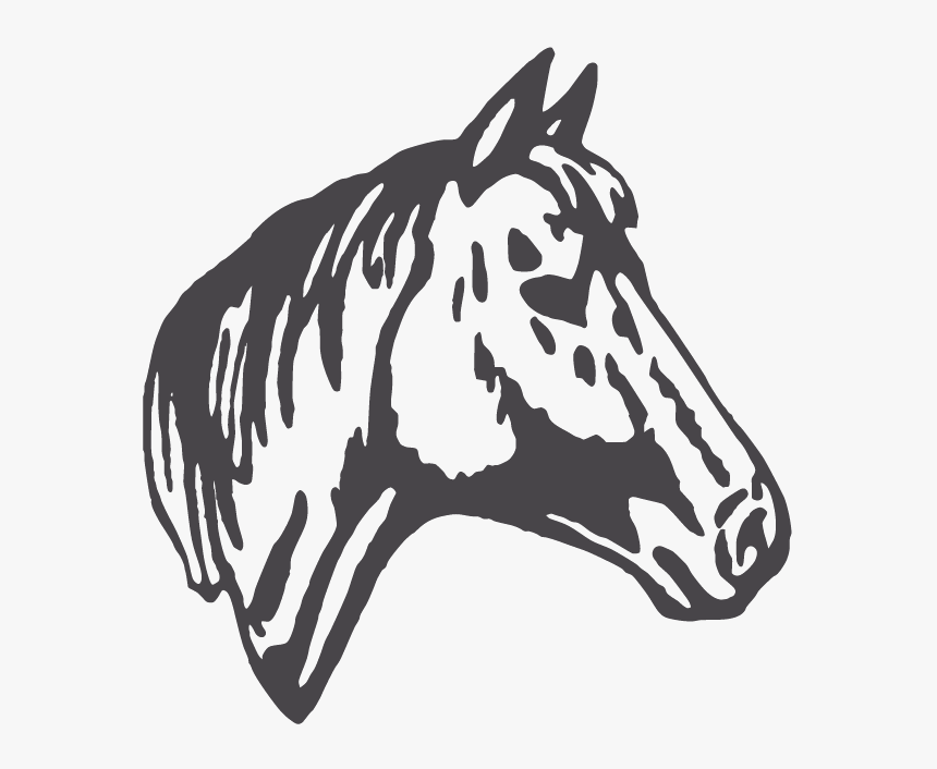 Transparent Horse Head Png - Horse In Horseshoe Clipart, Png Download, Free Download