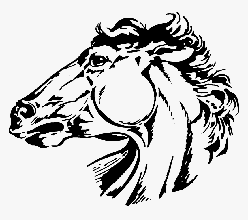 Conner Middle School Colt, HD Png Download, Free Download