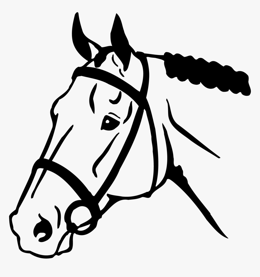Line Art Horse Face, HD Png Download, Free Download