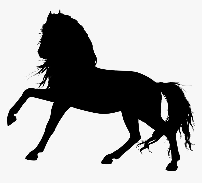 Animal, Equine, Favorites, Horse, Silhouette - Horse Silhouette Transparent, HD Png Download, Free Download