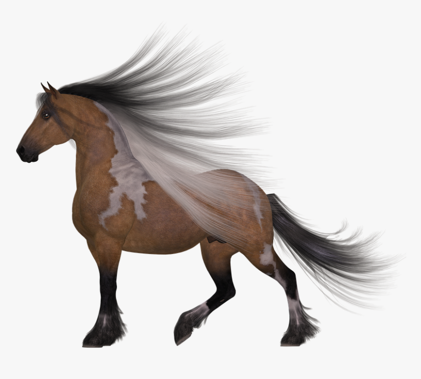 Transparent Race Horses Clipart - Silhouette Horse, HD Png Download, Free Download