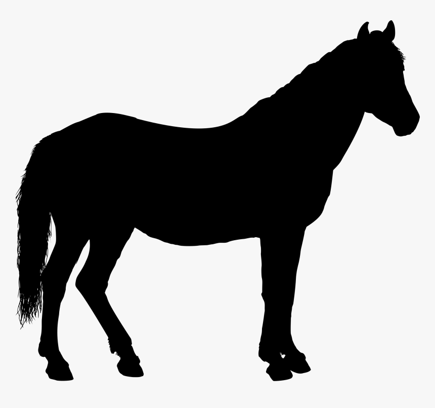 Pony,livestock,horse Tack - Clip Art Horse Silhouette, HD Png Download, Free Download