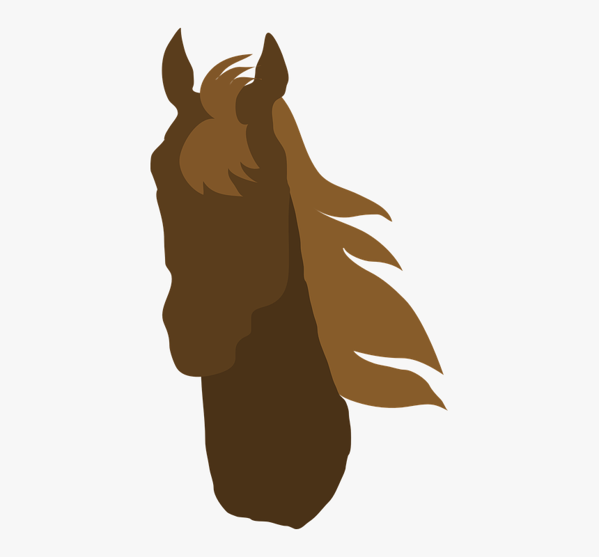 Horse, Head, Mane, Animal, Equestrian, Farm Animals - Cavalo Irlandês Png Sem Fundo, Transparent Png, Free Download