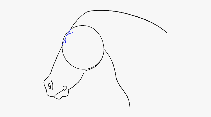 How To Draw Horse Head - Line Art, HD Png Download, Free Download