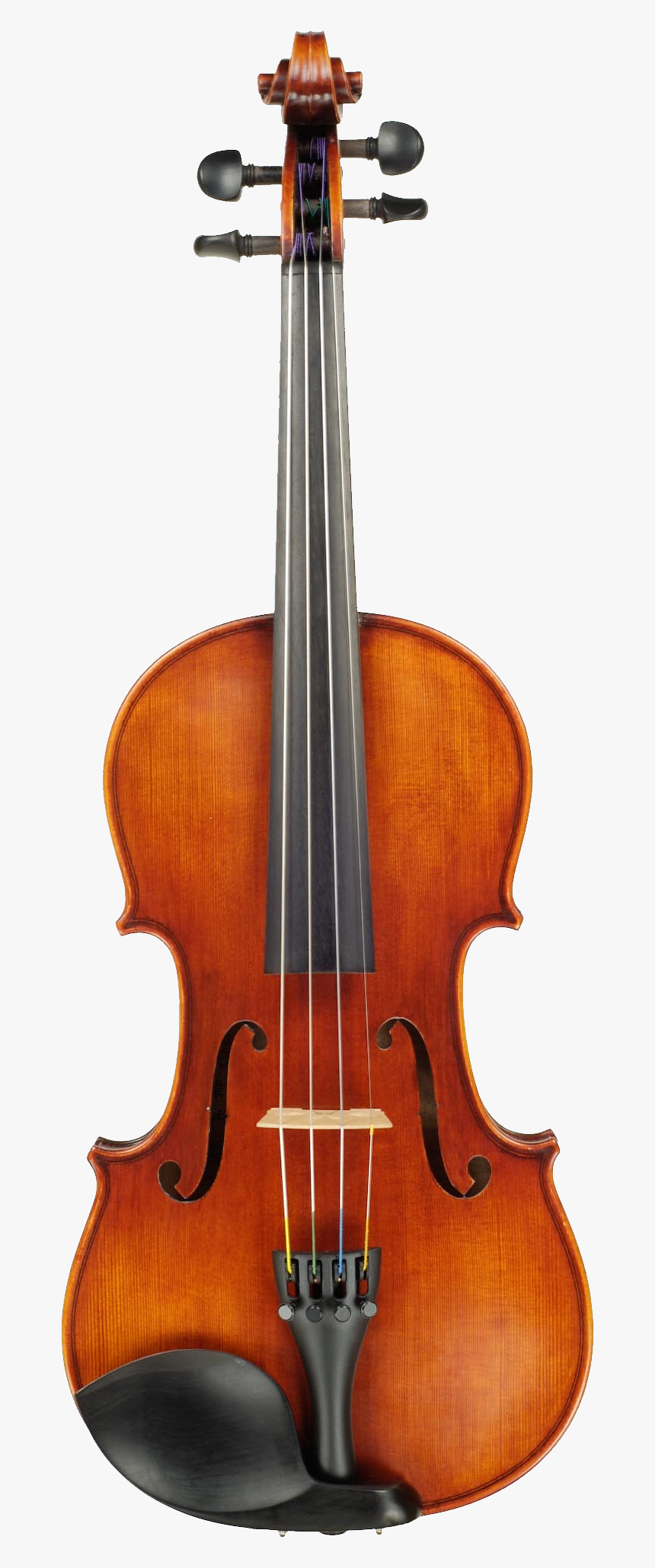 Stradivarius Cremona Lady Violin Japan Blunt Clipart - Baroque Violin, HD Png Download, Free Download